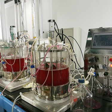 40l Off-site Sterilization Shaft-linked Transmission Suspension Culture Animal Cell Bioreactor
